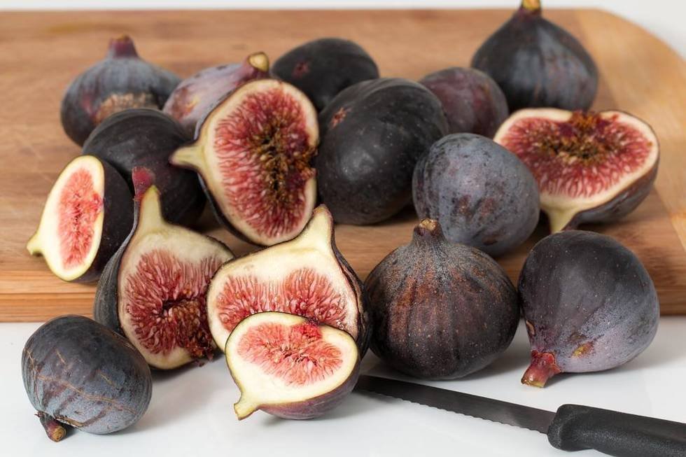 Figs.jpeg