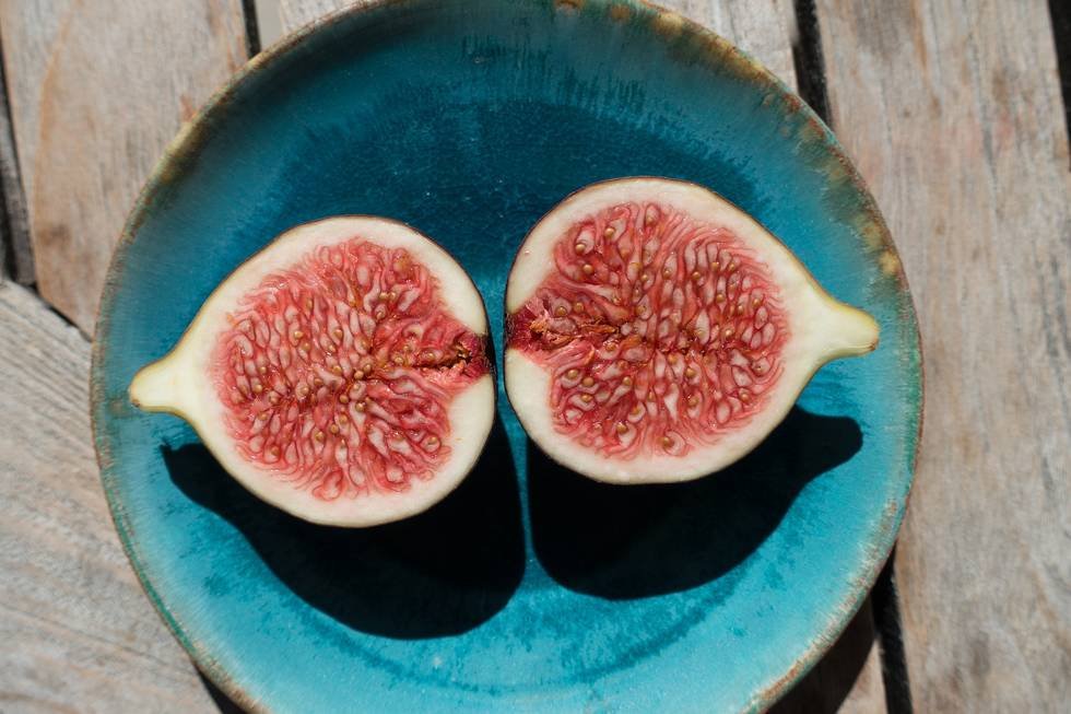 Two_Figs.jpg